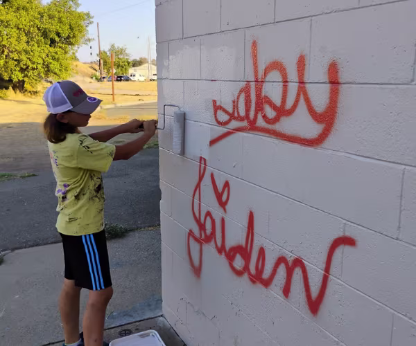 Graffiti abatement and coverage